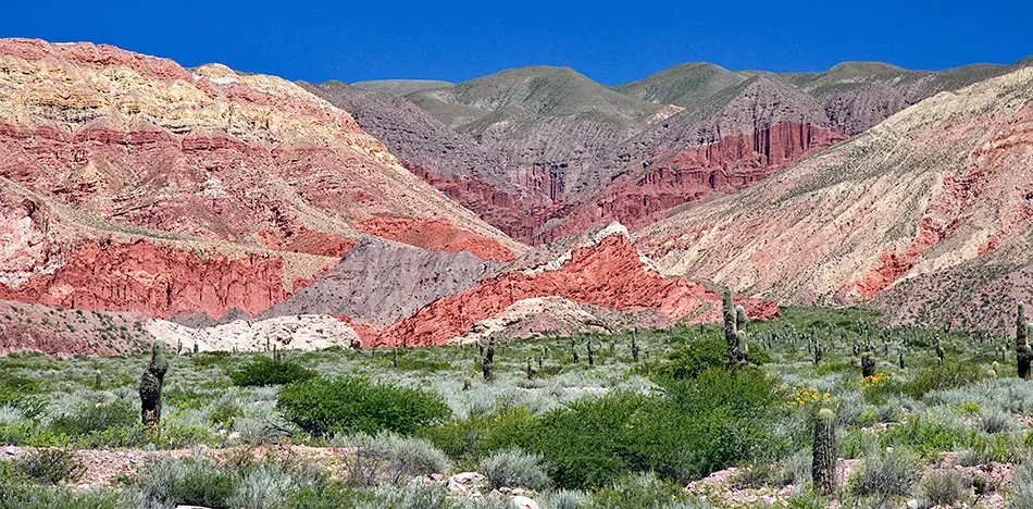 flora de la quebrada de humahuaca - Cómo es el ambiente de la Quebrada de Humahuaca