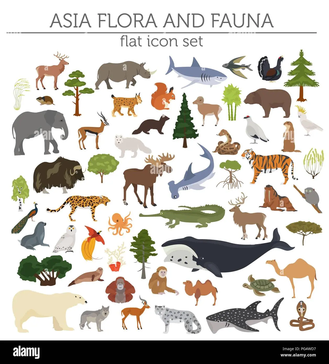 flora y fauna del continente asiático - Cómo es la biodiversidad de Asia