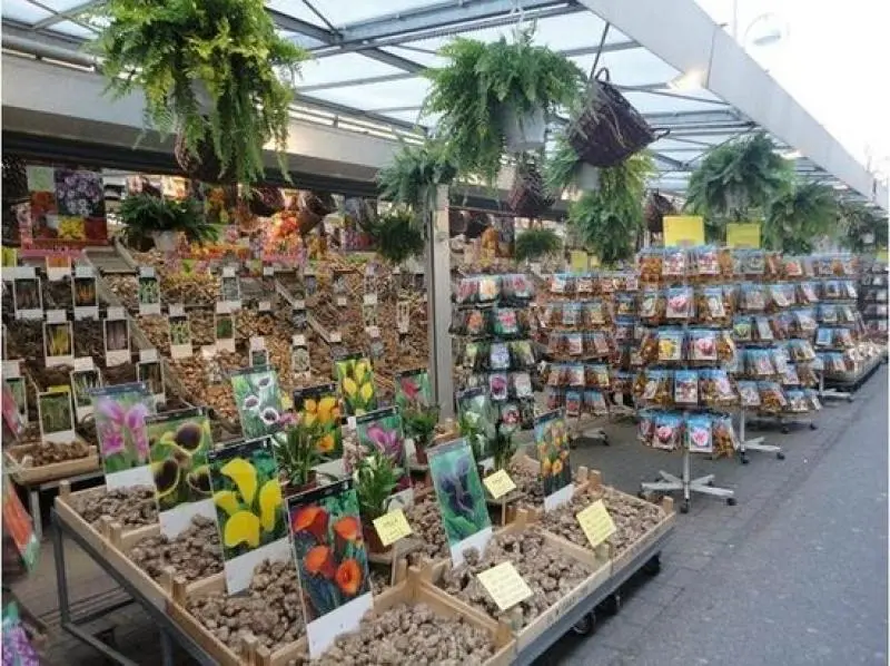 mercado de flores barracas - Cómo se comercializa las flores