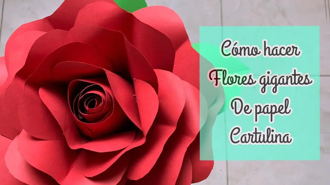 cartulina como hacer flores de papel gigantes - Cómo se llama el papel para hacer las flores gigantes