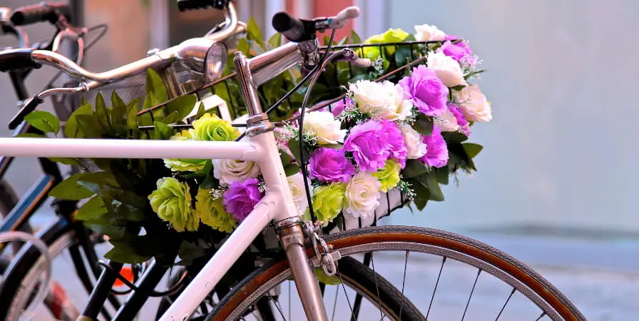 bicicleta con flores - Cómo se llama la bicicleta de 1870