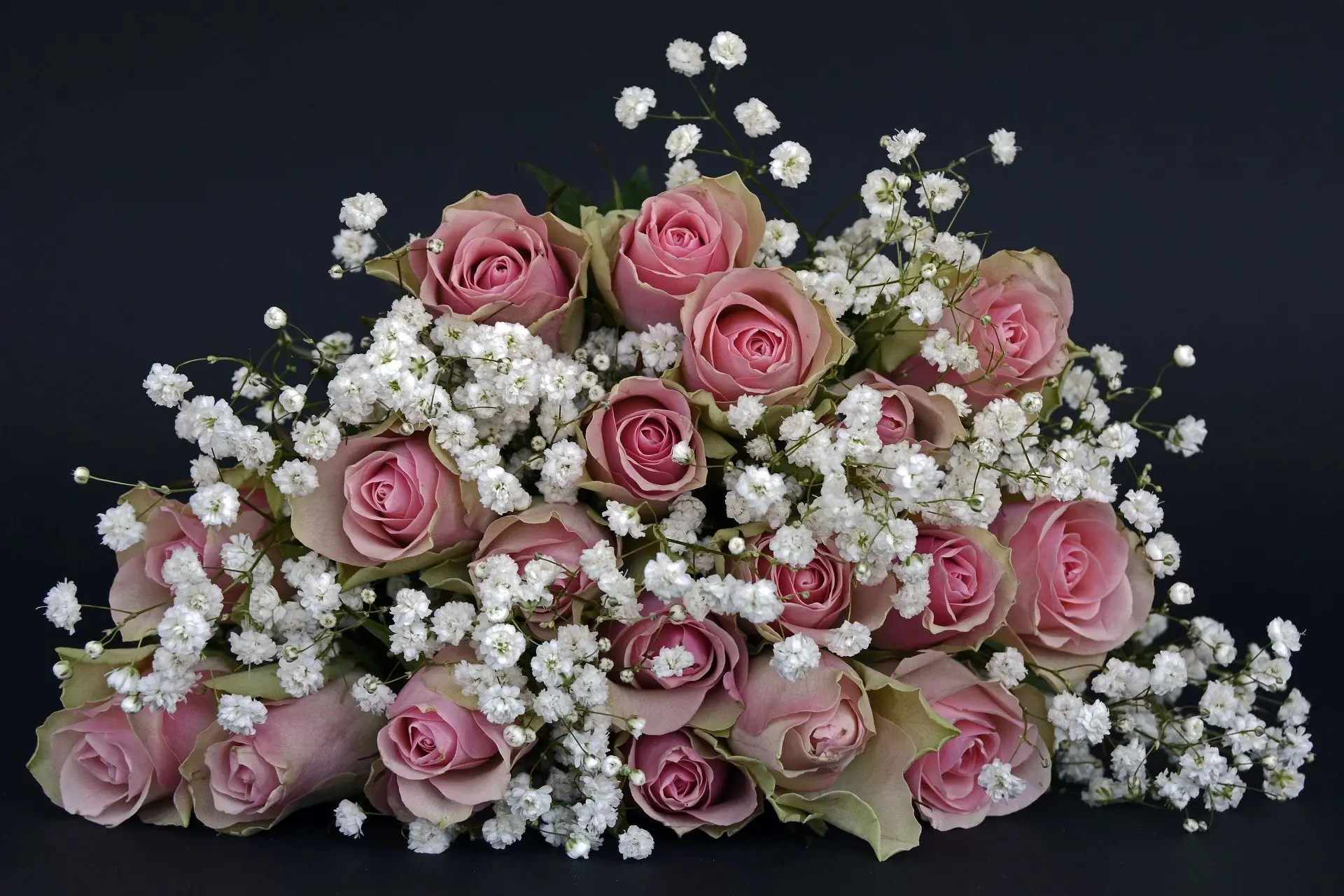 flor que acompaña a las rosas - Cómo se llaman las flores blancas que acompañan las rosas