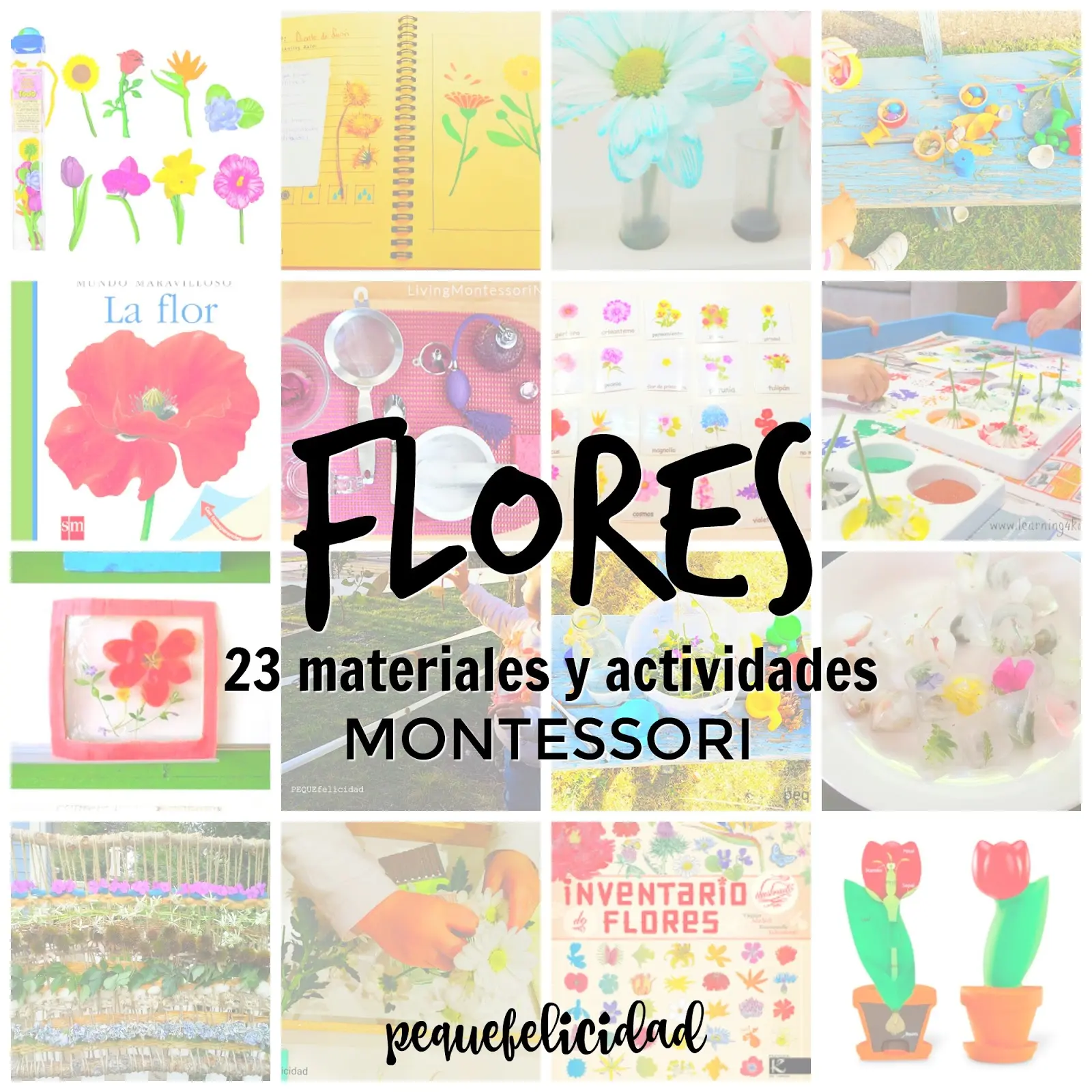 Proyecto Sobre Las Flores Para Nivel Inicial