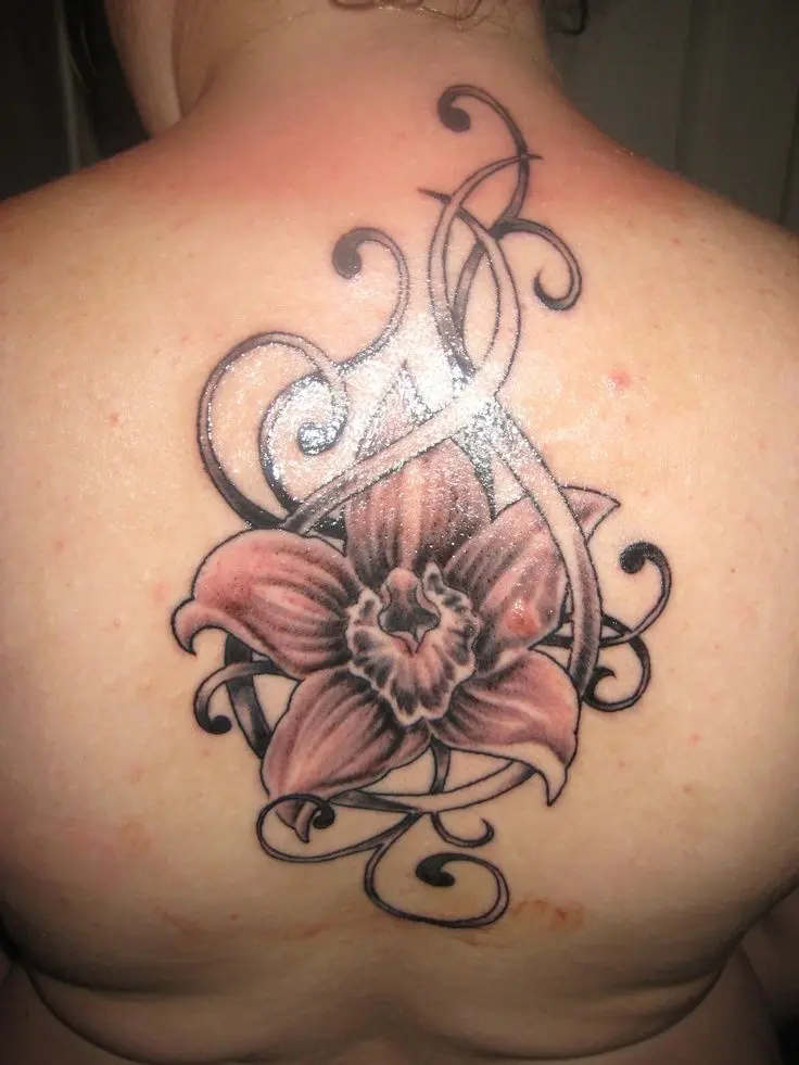 flor de cattleya tattoo - Cuál es el significado de Cattleya