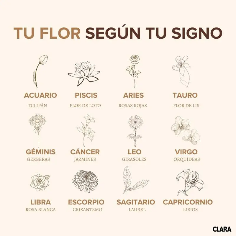 flor segun tu mes - Cuál es la flor del mes de marzo