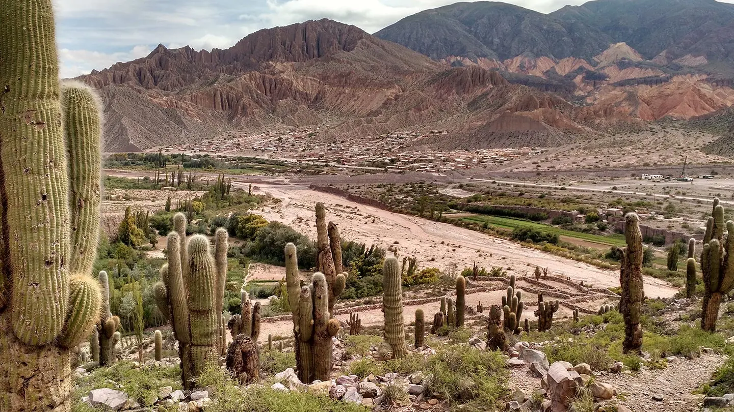 flora y fauna de la quebrada de jujuy - Cuál es la flora de la Quebrada de Jujuy