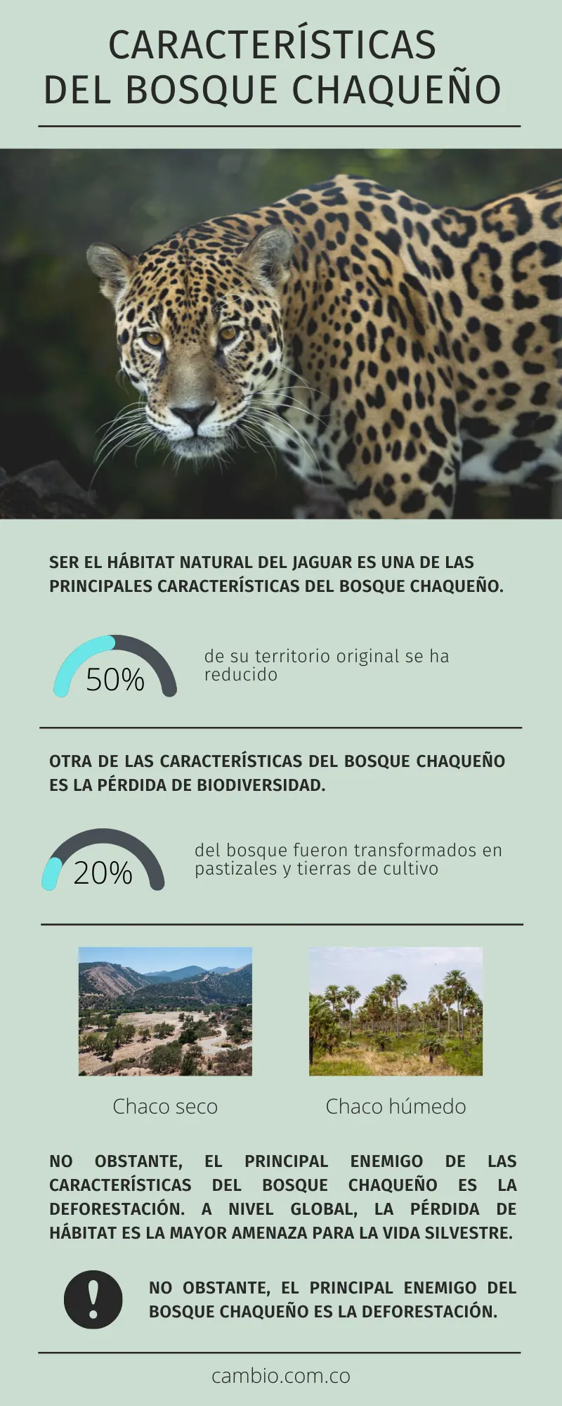 flora y fauna del bosque chaqueño - Cuál es la flora del bosque chaqueño