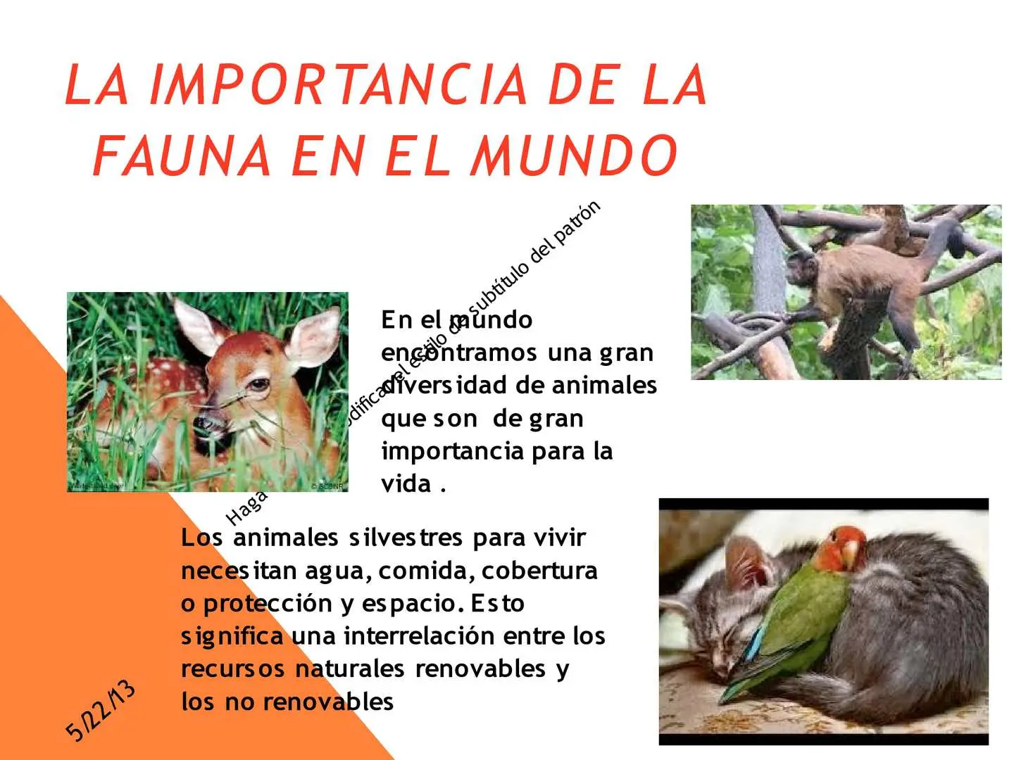 importancia de la flora y fauna en el ecosistema - Cuál es la importancia de la fauna en el planeta