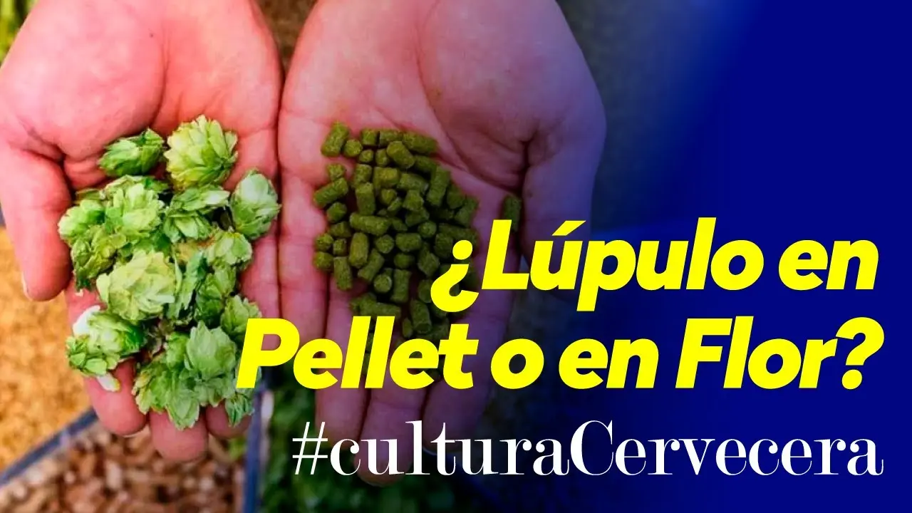 como usar lupulo en flor - Cuándo se agrega el lúpulo