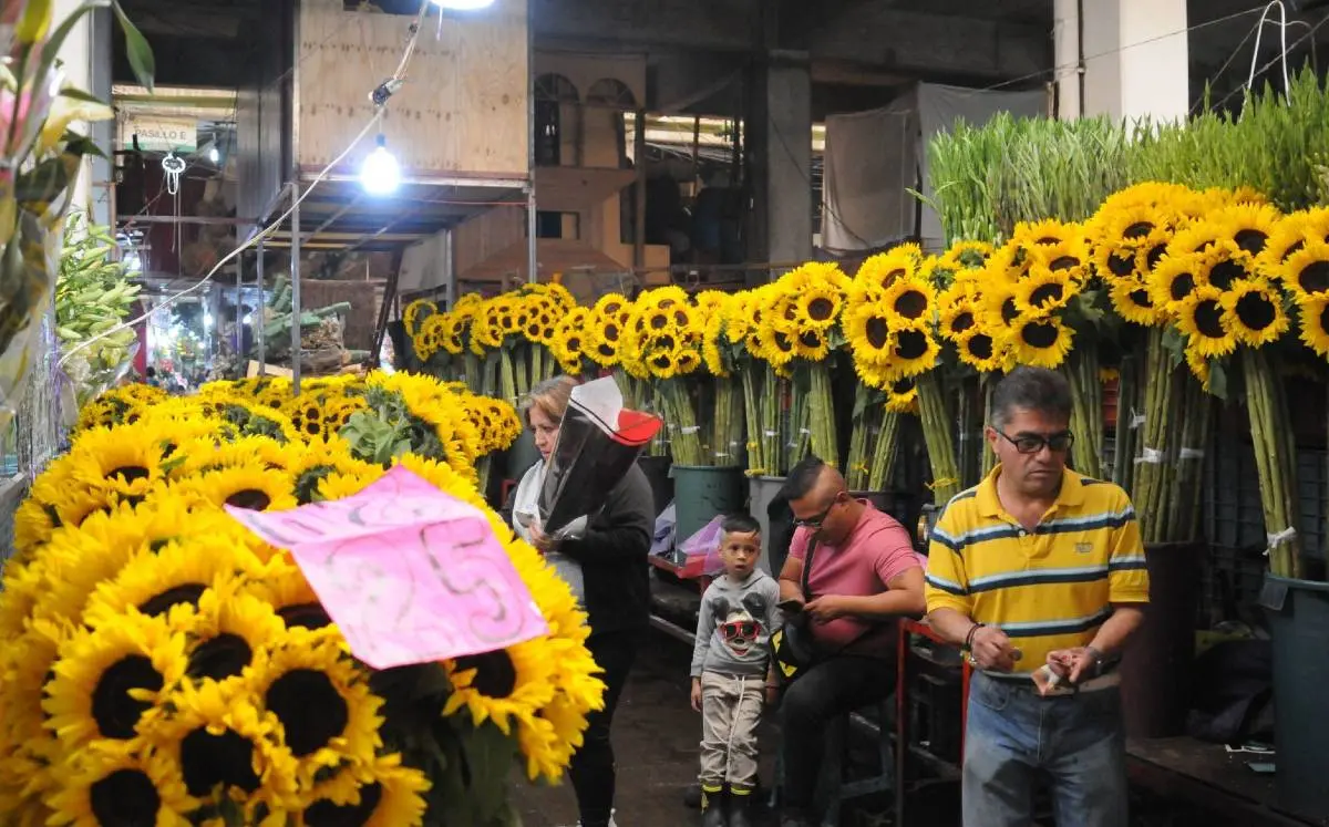 mercado de flores chacarita precios - Cuánto cuestan los girasoles en el mercado de Jamaica