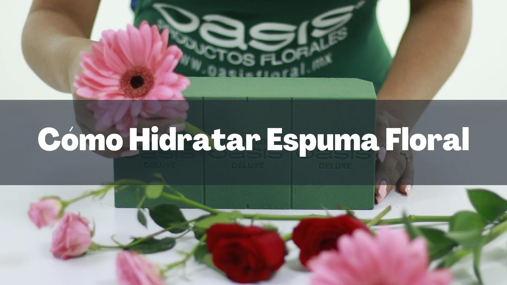 oasis para flores - Cuánto tiempo se debe dejar el oasis en agua