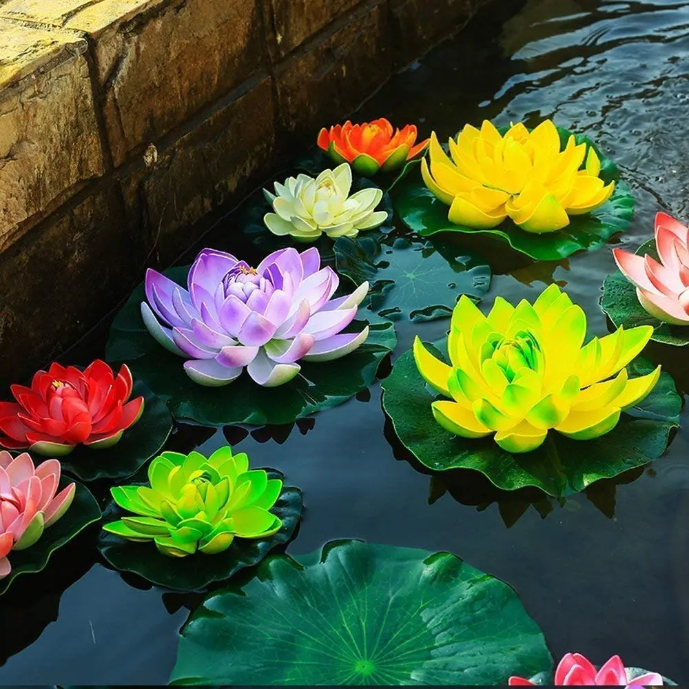 estanque para flor de loto - Cuánto tiempo tarda en crecer una flor de loto