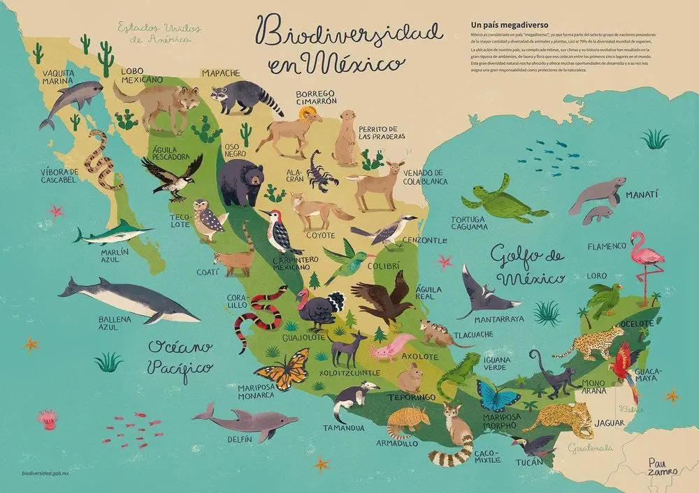 flora y fauna en mexico mapa - Dónde hay flora en México