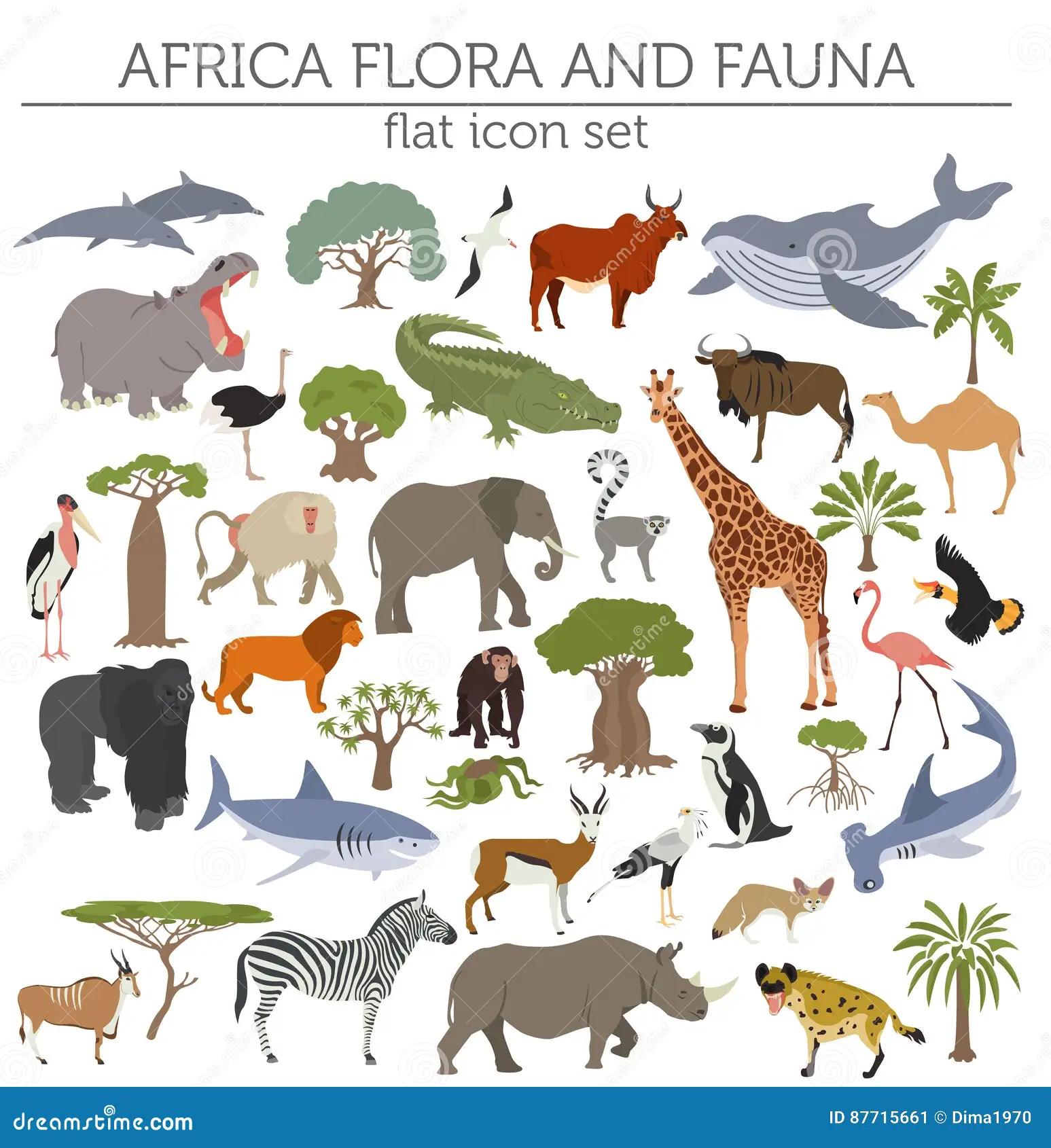 africa oriental flora y fauna - Qué caracteriza a África oriental