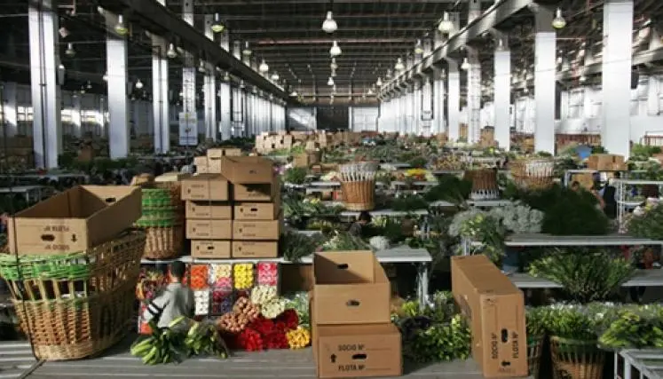 mercado de flores barracas - Qué días abre el mercado de las flores Buenos Aires