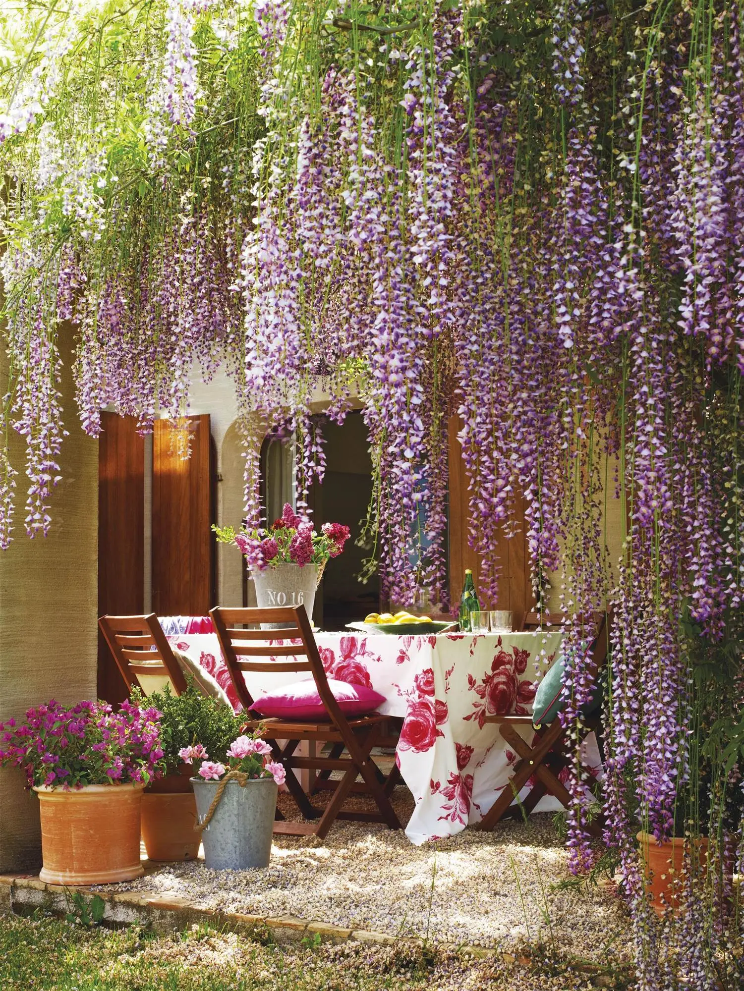 enredaderas de interior con flores - Qué enredadera crece en maceta