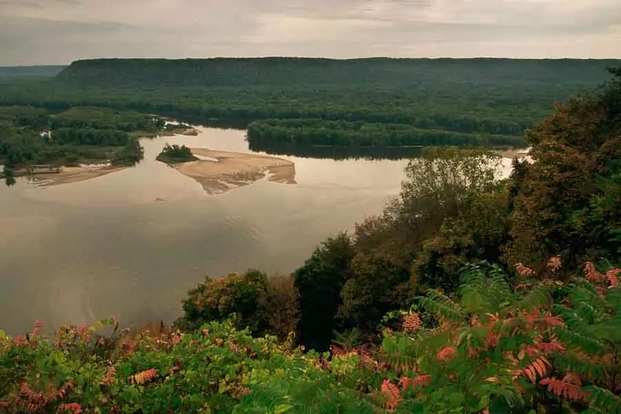 flora del rio misisipi - Qué es el río Mississippi