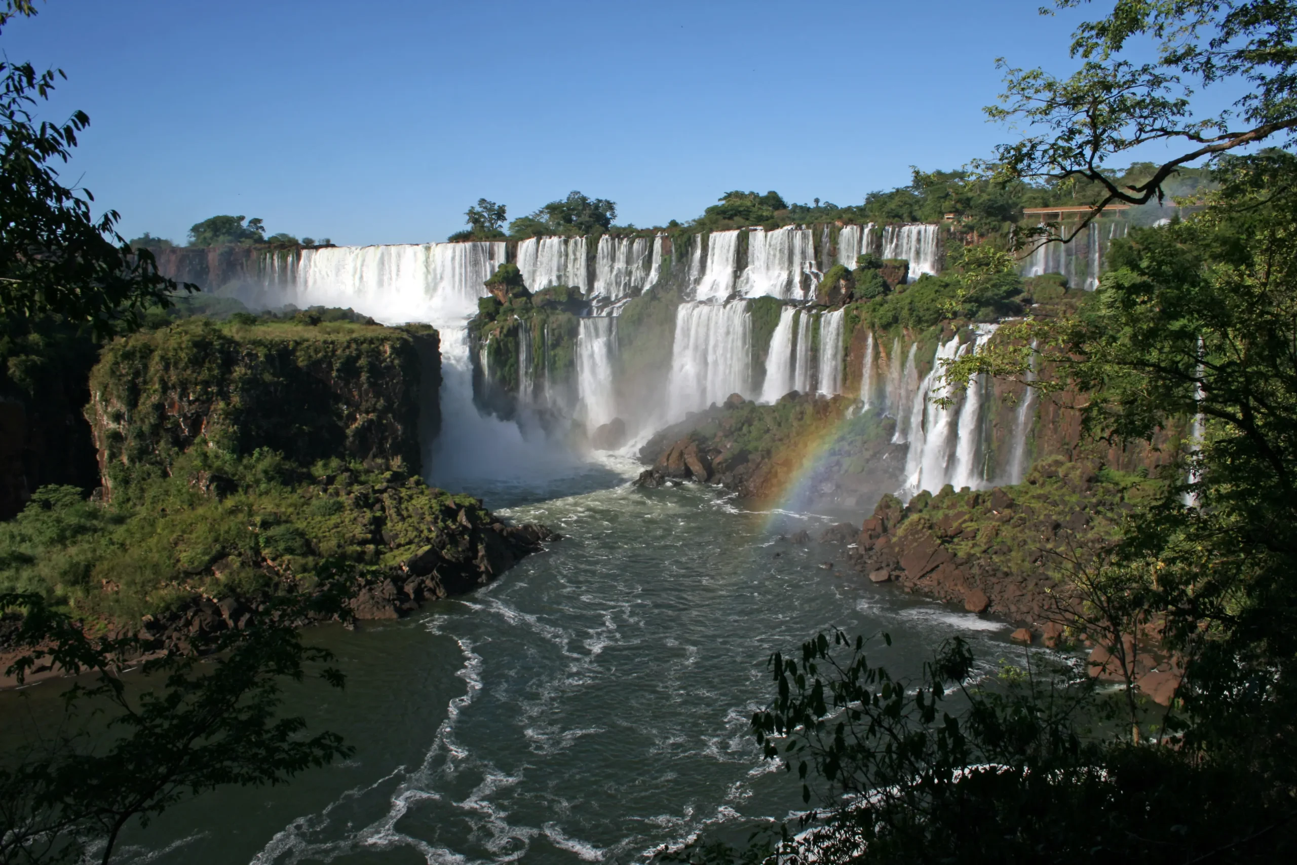 flora del parque nacional iguazú - Qué plantas hay en cataratas