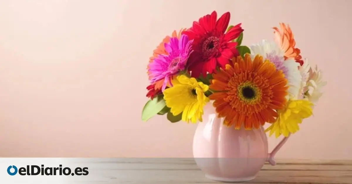 azucar en el agua de las flores - Qué poner en el agua para que las flores duren más