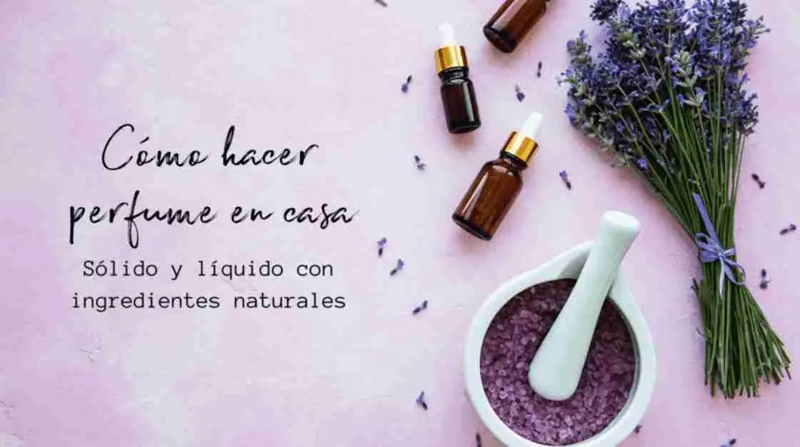 Cómo Hacer Perfume Casero Con Flores Teleflor