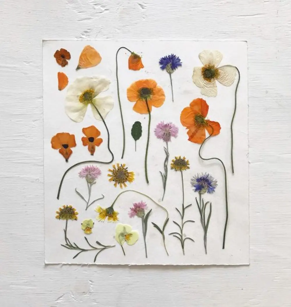 arte con flores y hojas secas - Qué se puede hacer con las flores marchitas