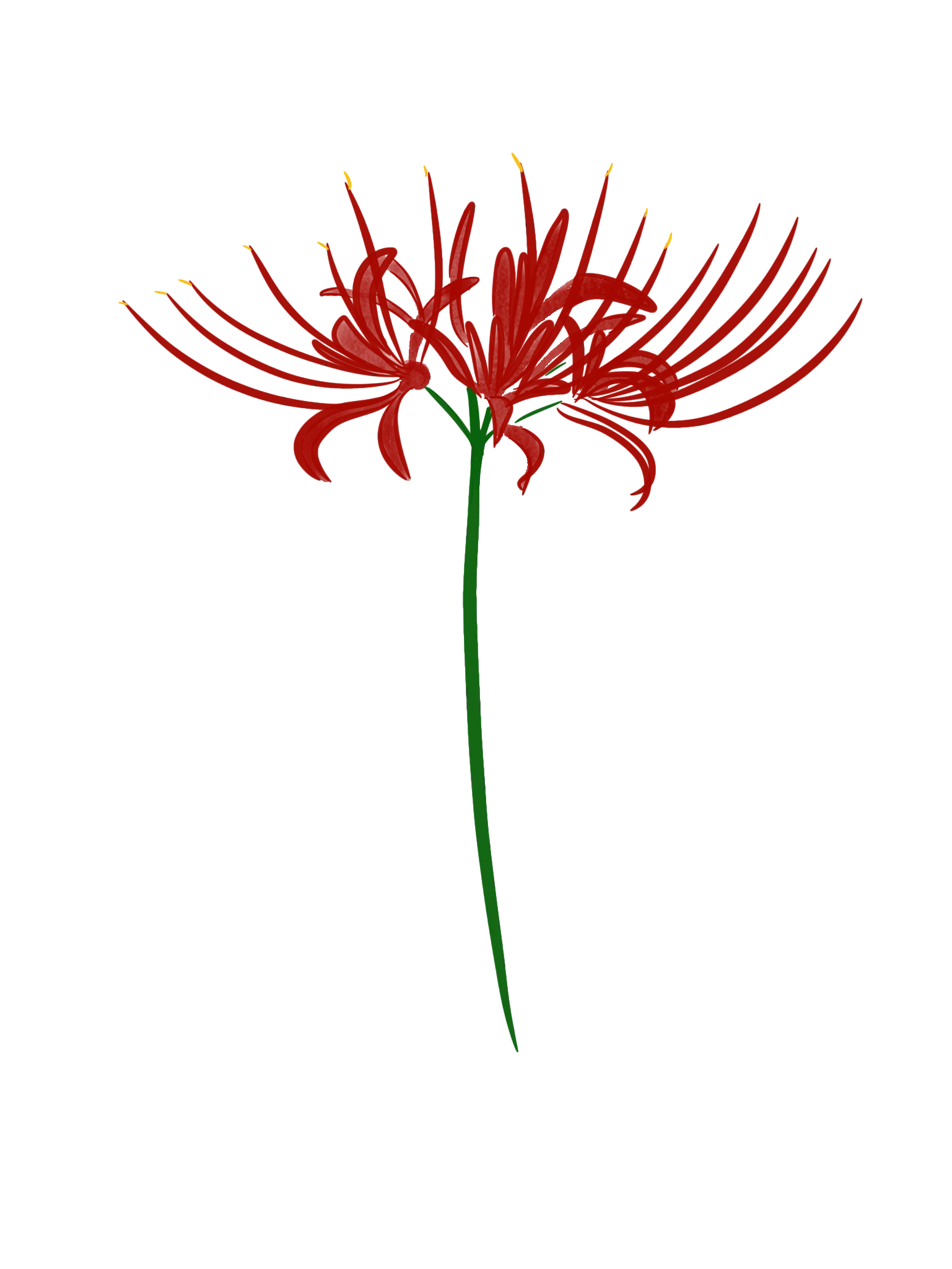 flor roja japonesa - Qué significa la flor de la muerte japonesa