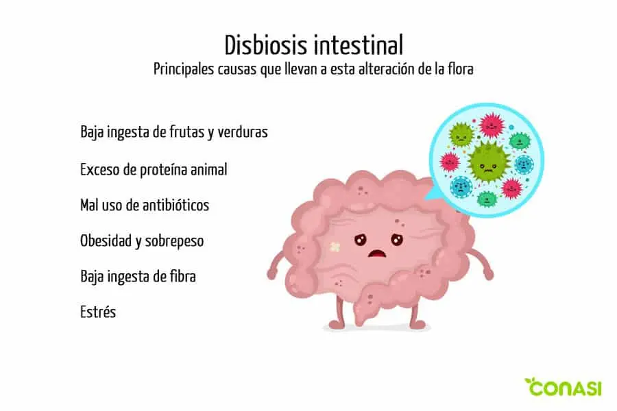 qué pasa cuando la flora bacteriana está aumentada - Qué síntomas da la flora bacteriana aumentada