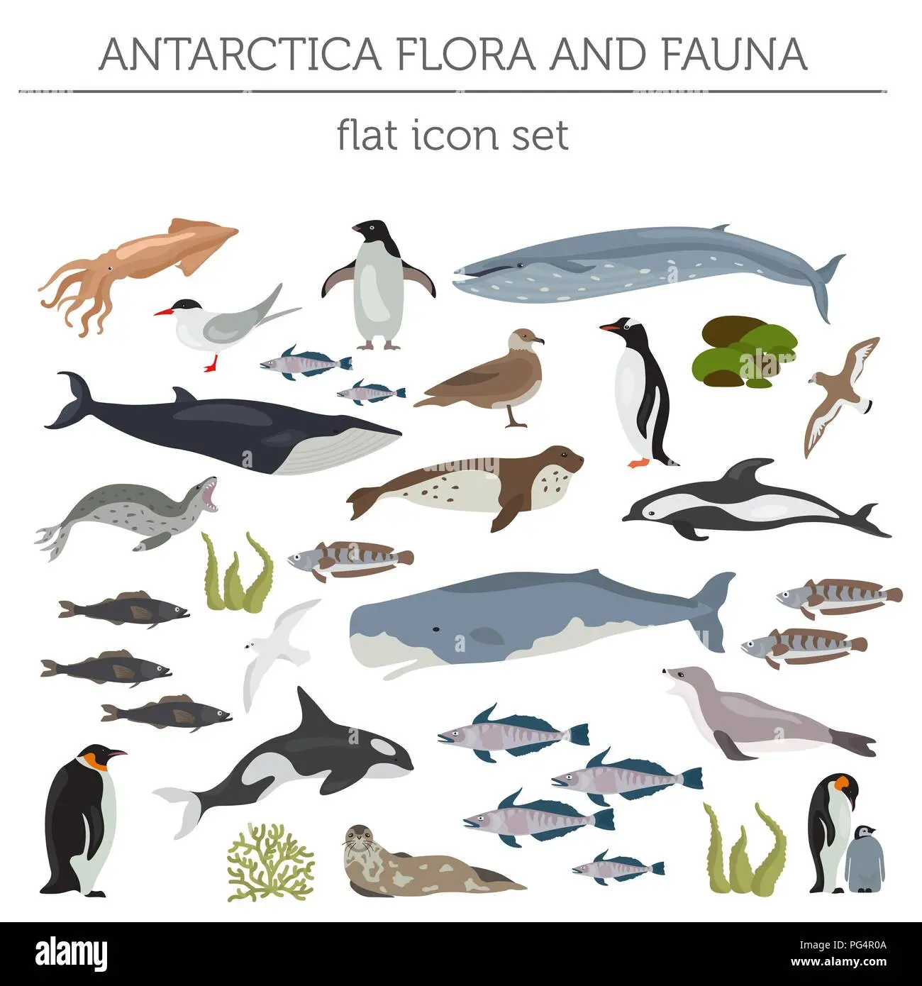 flora y fauna de antártida - Qué tipo de ecosistema es la Antártida