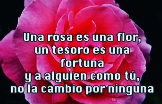 una rosa es una flor un tesoro una fortuna - Qué tipo de poema es a una rosa