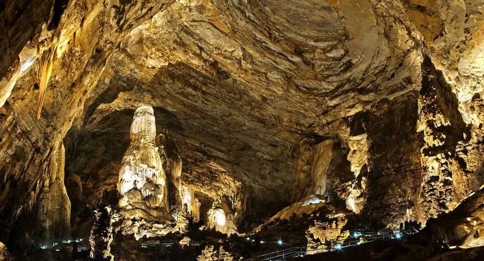 flora y fauna de las grutas de cacahuamilpa - Quién fue el fundador de las Grutas de Cacahuamilpa